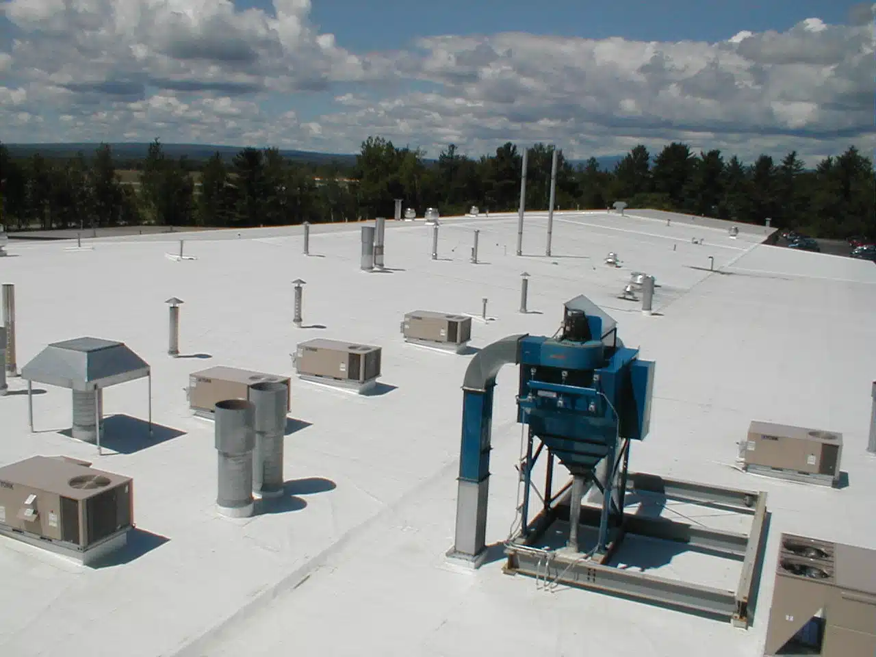 Flat Roof Sealed